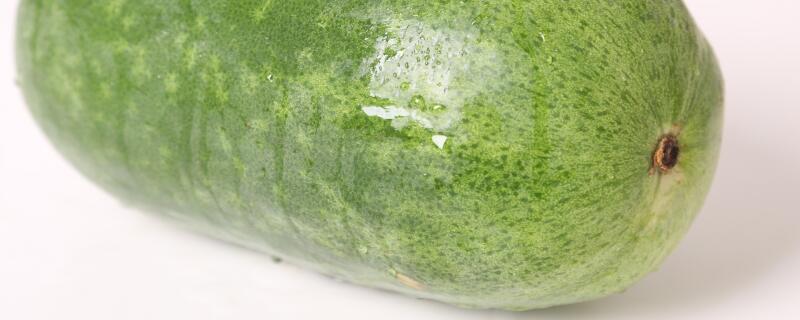 大冬瓜