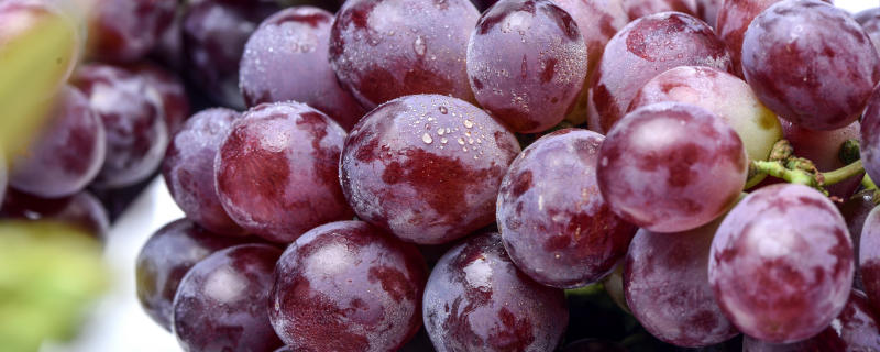 新鲜的葡萄