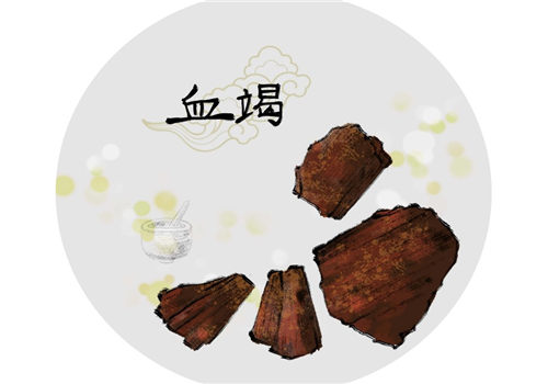 剑叶龙血树的养殖方法