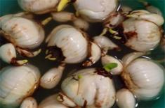 水仙花种球选大的还是小的好（为什么要切球）