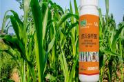 苏云金杆菌用法用量