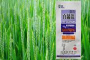 百菌清主治哪些病害