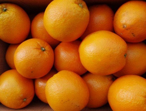 橙子为什么要套袋?附套袋技术介绍!