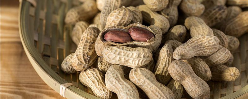 花生种植一亩地利润