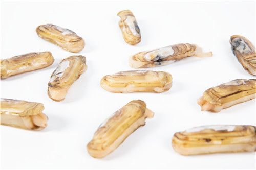 现在一斤蛏子大概要多少钱？详解养殖技术！