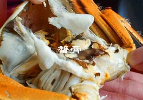 螃蟹中的蟹膏是什么?