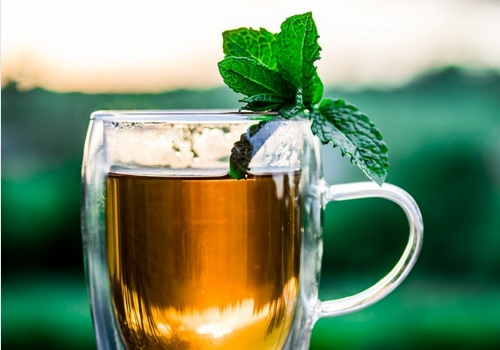 “夜息香”薄荷的主产地在哪里？