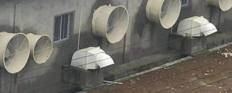 猪舍通风