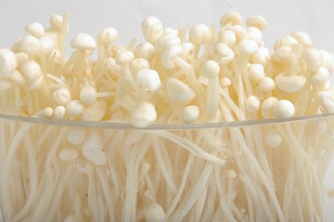 金针菇常见品种