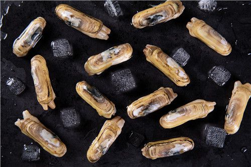 现在一斤蛏子大概要多少钱？详解养殖技术！