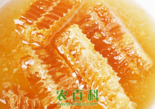 教您从这八点辨别土蜂蜜和普通蜂蜜！