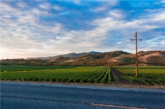 今年种水稻如何选择品种（附增加收益的方法）