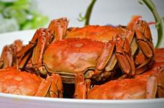 今年的秋季大闸蟹价格多少钱一斤？