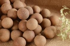 桂圆不能和什么一起吃？