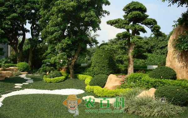 园林常用农药，园林农药使用注意事项