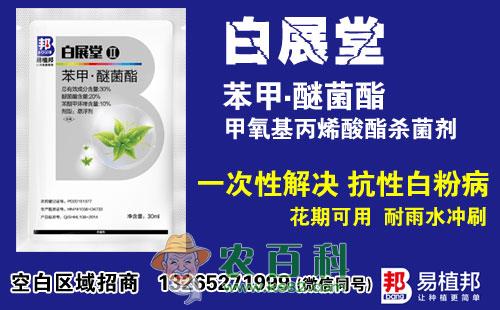 易植邦白展堂-苯甲醚菌脂-一次性解决抗性白粉病