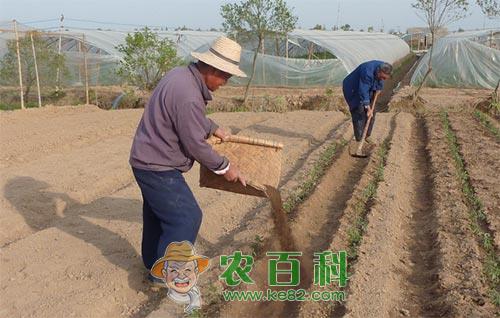 有机肥施用存在的问题及对策