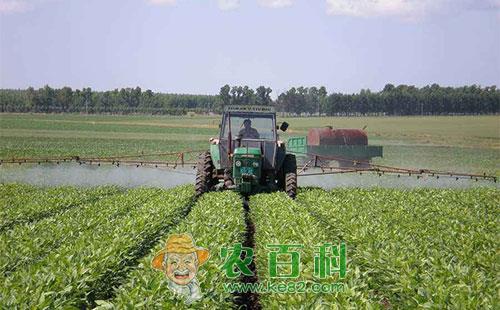 叶面肥种类有哪些，如何正确使用