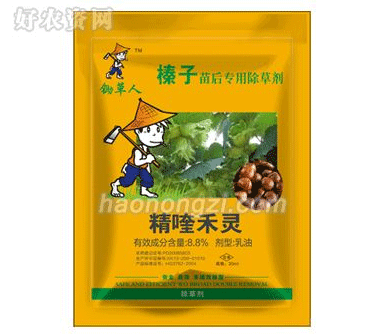 榛子田除草常用药剂防治细节