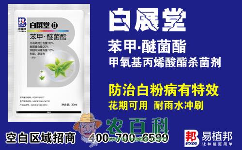 易植邦白展堂-苯甲醚菌脂（甲氧基丙烯酸酯杀菌剂）