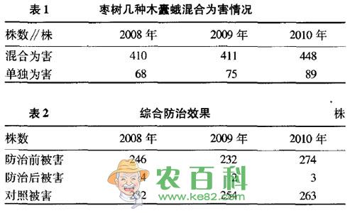 枣树木蠹蛾发生规律及综合防治方法