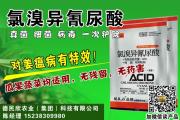姜瘟病用什么药(姜瘟病防治) 姜瘟病用什么药(姜瘟病防治)