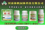 夏季小黄瓜的高产种植方法