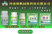 杏树的施肥和灌水管理技术