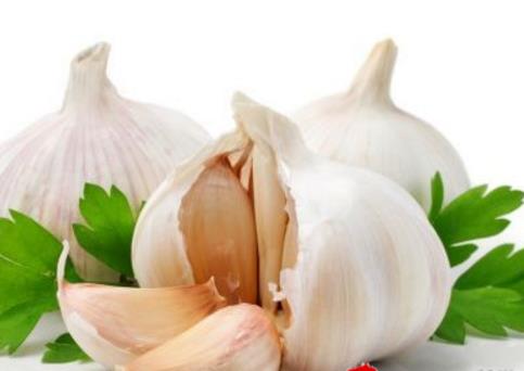 端午节养生八项活动：端午节煮大蒜清肠胃毒素