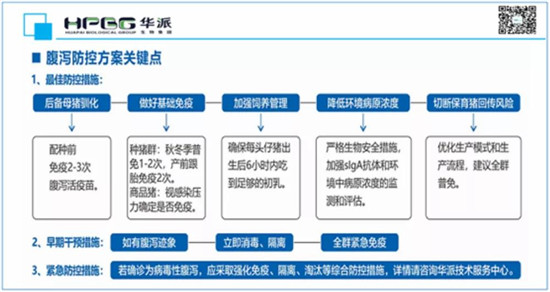 警惕病毒性腹泻明显反弹 规模猪场该如何应对?