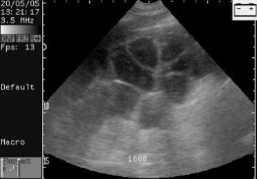 怎么给猪配种 配种管理指南（连载十）