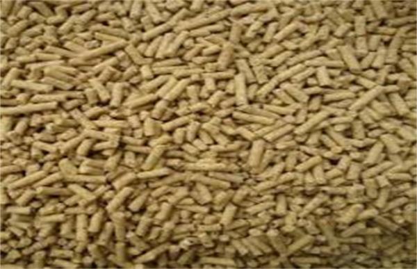 羔羊护理及饲养管理