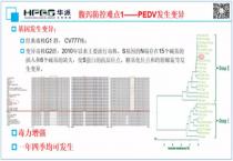 樱桃修剪和管理