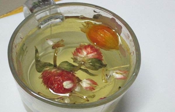 芦荟花茶的功效