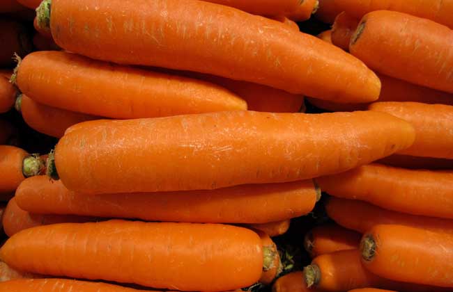 白萝卜和胡萝卜的区别