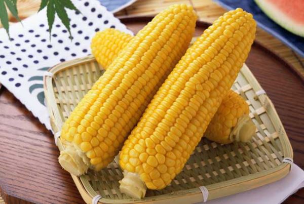 玉米的营养价值