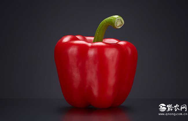 蔬菜营养价值排行榜