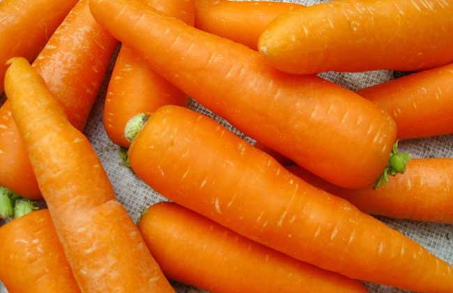 白萝卜和胡萝卜的区别