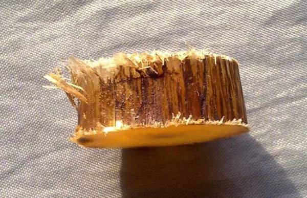 犀牛角的药用价值