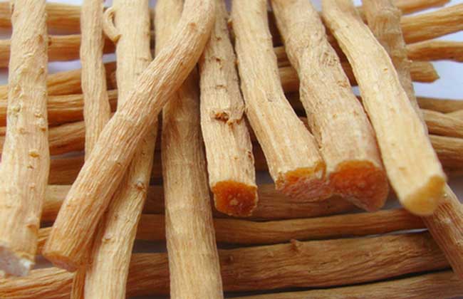 牛膝的功效与作用及禁忌