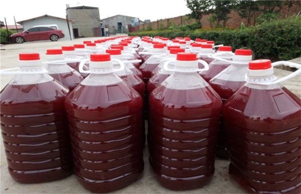 虾用什么菌好