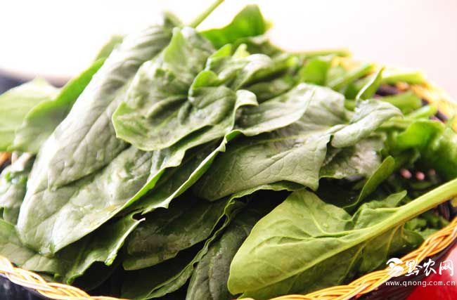 蔬菜营养价值排行榜