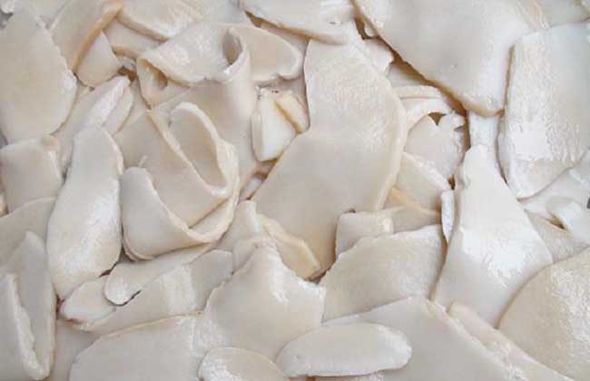 白灵菇和杏鲍菇的区别