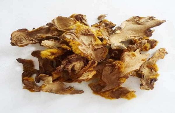 狗脊的功效和作用