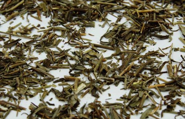 春柴胡的功效与作用