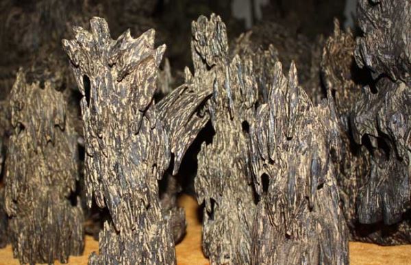 沉香的真假鉴别方法