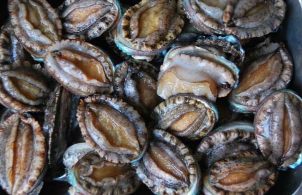 鲍鱼怎么清洗干净？