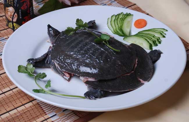 吃甲鱼过敏怎么办？