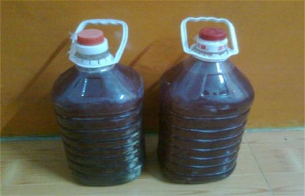 虾用什么菌好