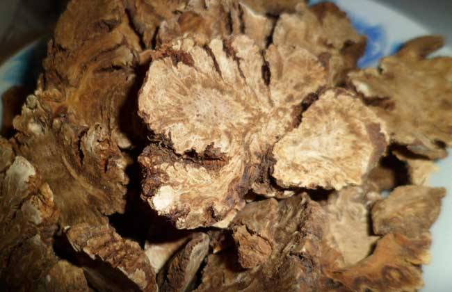 川芎的功效与作用禁忌